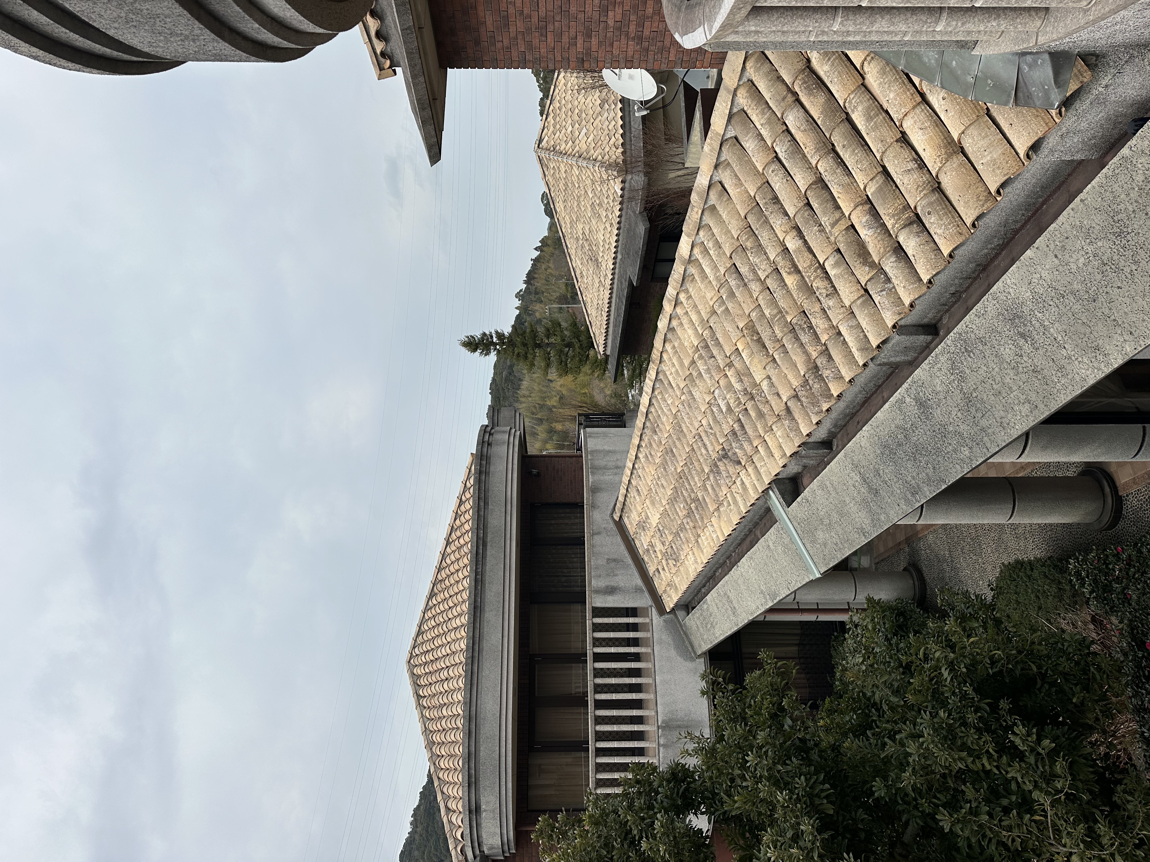 私人定制文化访问